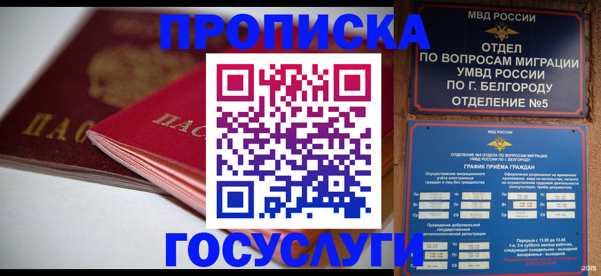 временная регистрация собственник в Вышнем Волочке